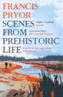 Scenes from Prehistoric Life : From the Ice Age to the Coming of the Romans - eBook