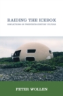 Raiding the Icebox : Reflections on Twentieth-Century Culture - eBook
