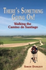 There's something going on! : Walking the Camino de Santiago - Book
