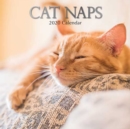 Cat Naps : 2020 Square Wall Calendar - Book