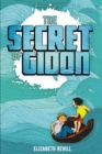 The Secret of Gidon - eBook