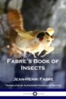 Fabre's Book of Insects - Book