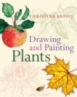Drawing and Painting Plants - Book