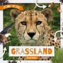 Grassland Food Webs - Book