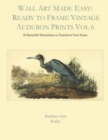 Wall Art Made Easy : Ready to Frame Vintage Audubon Prints Vol 6: 30 Beautiful Illustrations to Transform Your Home - Book
