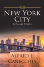 New York City : In Small Spaces - eBook