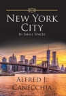 New York City : In Small Spaces - Book