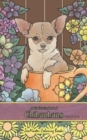 Adult Coloring Book of Chihuahuas travel size : 5x8 Coloring Book for Adults of Chihuahuas for Stress Relief and Relaxation - Book