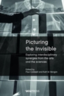 Picturing the Invisible : Exploring Interdisciplinary Synergies from the Arts and the Sciences - Book