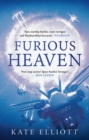 Furious Heaven - Book