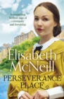 Perseverance Place : A compelling saga of community and friendship - eBook