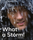 What a Storm! : Phonics Phase 4 - Book