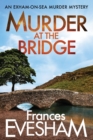Murder at the Bridge - Book