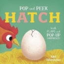 Pop and Peek: Hatch : With flaps and pop-up surprises! - Book