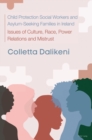 Child Protection Social Workers and Asylum-Seeking Families in Ireland : Issues of Culture, Race, Power Relations, and Mistrust - eBook