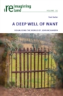 A Deep Well of Want : Visualising the World of John McGahern - eBook