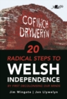 20 Radical Steps to Welsh Independence : ...by first decolonising our minds - Book