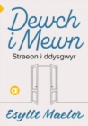 Cyfres Amdani: Dewch i Mewn - Book