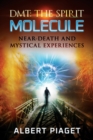 Dmt : The Spirit Molecule: Near-Death and Mystical Experiences - Book
