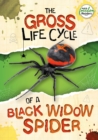 The Gross Life Cycle of a Black Widow Spider - Book