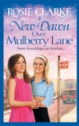 A New Dawn Over Mulberry Lane : A heartwarming historical read from the bestselling Mulberry Lane series - Book