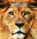 Close Up WILD Eyes Portraits : Wild Animal Colour Photo Album. Observe Nature through their Eyes. Perfect gift idea for all animal lovers. - Book