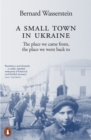 A Small Town in Ukraine : The place we came from, the place we went back to - Book