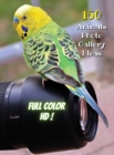 Animal Photos and Premium High Resolution Pictures - Full Color HD : 150 Animals Photo Gallery Ideas - Album Art Images - Creative Prints - Premium Paper - Rigid Cover Version - English Language Editi - Book