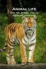 Animal life : Show how animals live in different ecosystems - Book