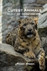 Cutest Animals : Perfect for the curious about animals - Book