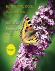 Professional Stock Photos and Prints - 150 Butterfly Photography Ideas - Full Color HD : Butterfly Pictures And Premium High Resolution Images - Premium Photo Book - Paperback Version - English Langua - Book