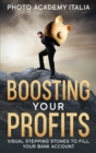 Boosting Your Profits : Visual Stepping Stones to Fill Your Bank Account - Book