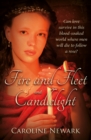 Fire and Fleet and Candlelight - Book
