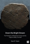 Down the Bright Stream: The Prehistory of Woodcock Corner and the Tregurra Valley, Cornwall - eBook