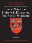 Venta Belgarum : Prehistoric, Roman, and Post-Roman Winchester - Book