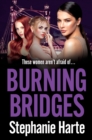 Burning Bridges - Book