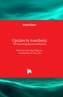 Updates in Anesthesia : The Operating Room and Beyond - Book
