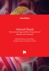 Adrenal Glands : The Current Stage and New Perspectives of Diseases and Treatment - Book