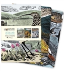 Angela Harding: Wildlife Set of 3 Midi Notebooks - Book
