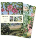 Kew Gardens: Marianne North Set of 3 Midi Notebooks - Book