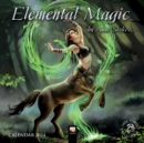 Anne Stokes: Elemental Magic Mini Wall calendar 2024 (Art Calendar) - Book