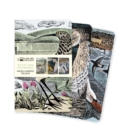 Angela Harding: Wildlife Set of 3 Mini Notebooks - Book