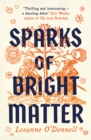 Sparks of Bright Matter : 'A debut novel of great imagination and originality'- THE SUNDAY TIMES - eBook