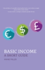 Basic Income - eBook