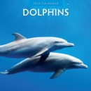 Dolphins 2024 Square Wall Calendar - Book