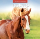 Horses 2024 Square Wall Calendar - Book