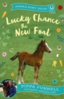 Lucky Chance the New Foal - Book