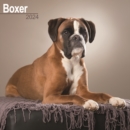 Boxer (Euro) Calendar 2024  Square Dog Breed Wall Calendar - 16 Month - Book