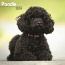 Poodle Calendar 2024  Square Dog Breed Wall Calendar - 16 Month - Book