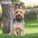 Yorkshire Terrier Calendar 2024  Square Dog Breed Wall Calendar - 16 Month - Book